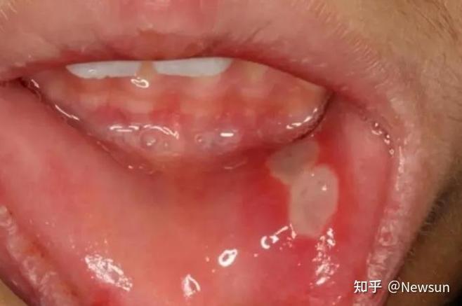 新闻中心 第28页