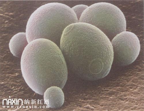 新闻中心 第13页