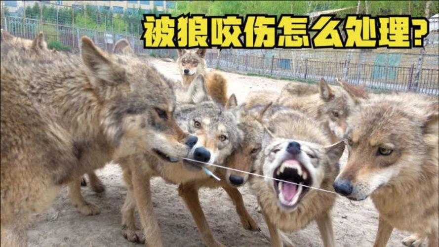下载中心 第8页